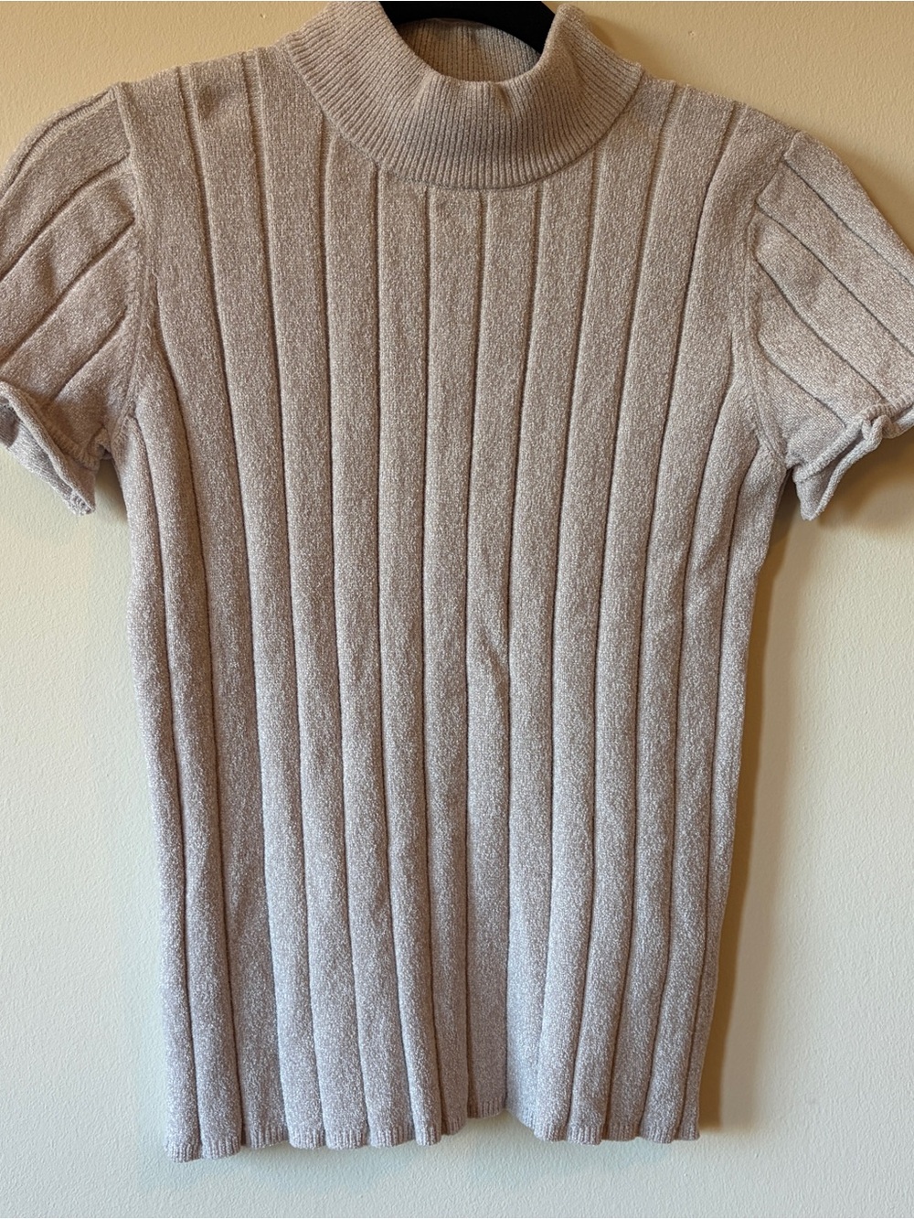 Zara Mock Neck Sweater with Short Sleeves